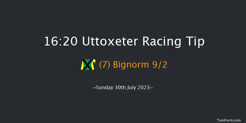 Uttoxeter 16:20 Handicap Chase (Class 5) 24f Fri 28th Jul 2023