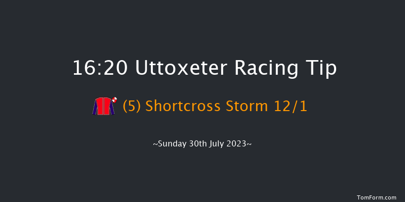 Uttoxeter 16:20 Handicap Chase (Class 5) 24f Fri 28th Jul 2023