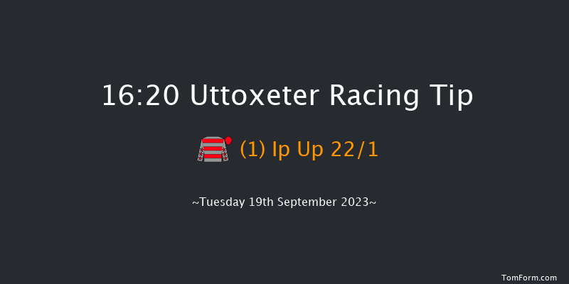Uttoxeter 16:20 Handicap Hurdle (Class 4) 16f Wed 13th Sep 2023