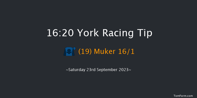 York 16:20 Handicap (Class 2) 5f Sun 10th Sep 2023