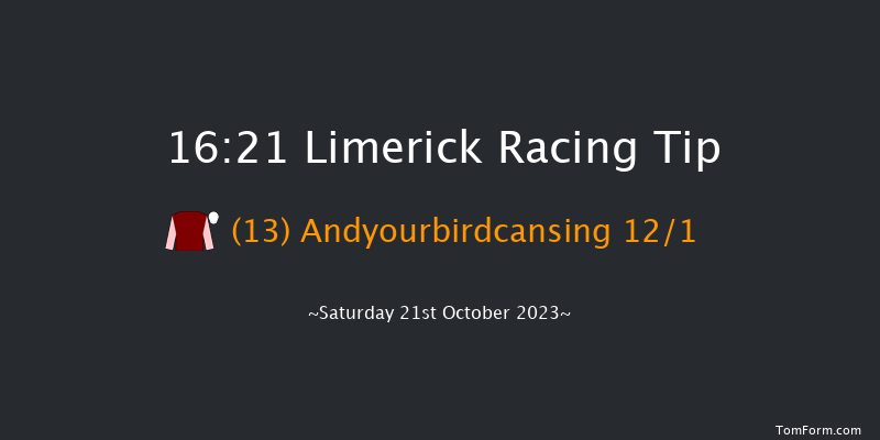 Limerick 16:21 Maiden Hurdle 21f Thu 27th Jul 2023