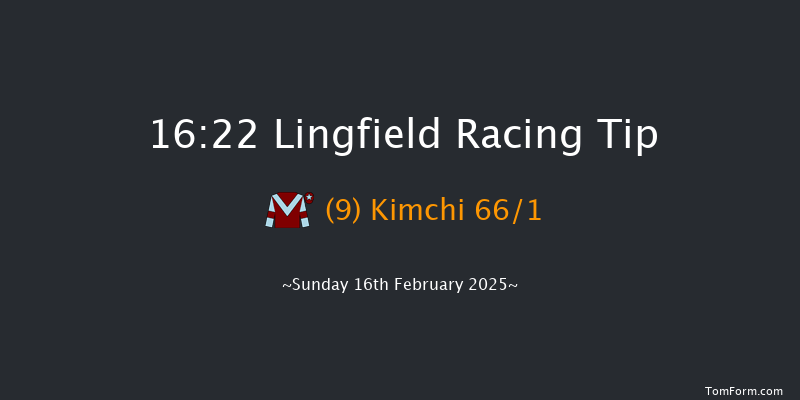 Lingfield  16:22 Handicap (Class 6) 10f Tue 11th Feb 2025