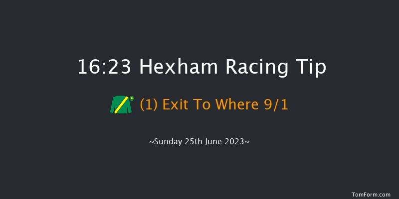 Hexham 16:23 Handicap Chase (Class 4) 20f Sat 17th Jun 2023