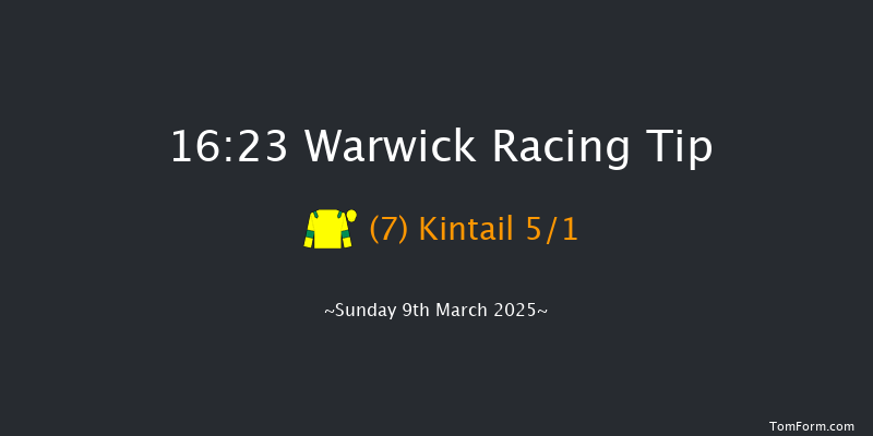 Warwick  16:23 Handicap Hurdle (Class 3) 26f Fri 21st Feb 2025