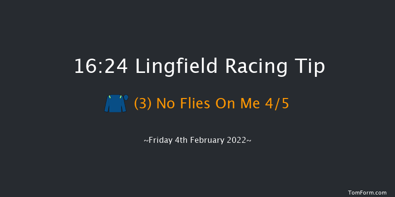 Lingfield 16:24 Handicap (Class 5) 10f Sat 29th Jan 2022