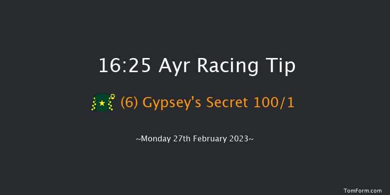 Ayr 16:25 Handicap Hurdle (Class 5) 24f Tue 14th Feb 2023