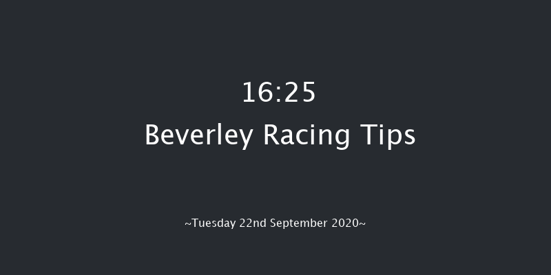 RFM Equinephotos Novice Stakes Beverley 16:25 Stakes (Class 5) 10f Wed 16th Sep 2020