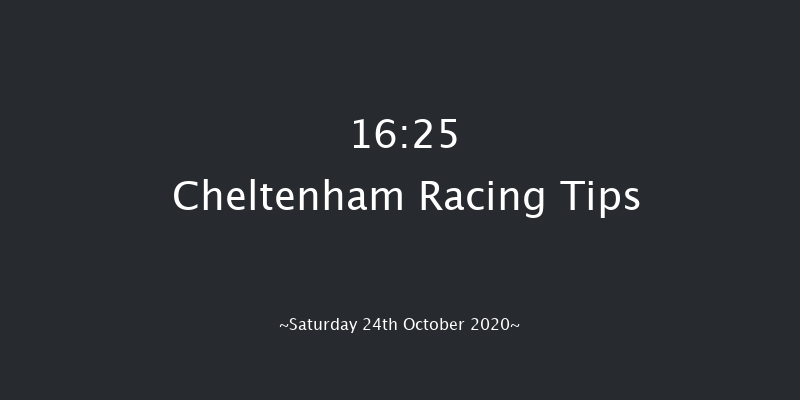 Lara Telfer Reined In For Racing Welfare Novices' Hurdle (GBB Race) Cheltenham 16:25 Maiden Hurdle (Class 2) 24f Fri 23rd Oct 2020