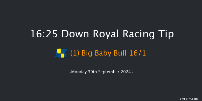 Down Royal  16:25 Handicap 7f Fri 6th Sep 2024
