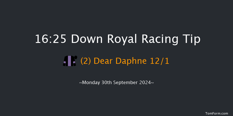 Down Royal  16:25 Handicap 7f Fri 6th Sep 2024