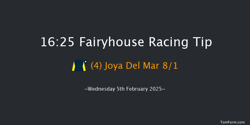 Fairyhouse  16:25 Handicap Hurdle 20f Sat 25th Jan 2025