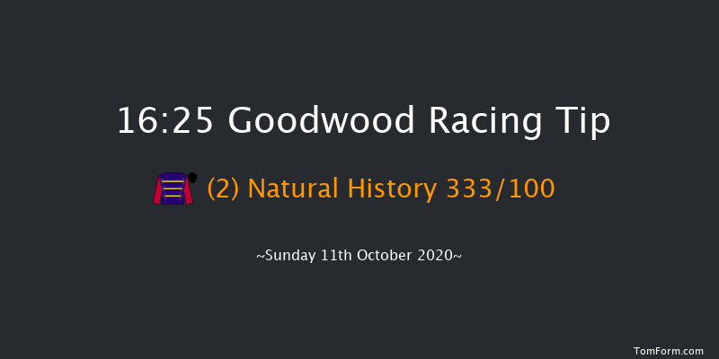 Join tote.co.uk With 10 Risk Free Handicap Goodwood 16:25 Handicap (Class 2) 12f Wed 23rd Sep 2020