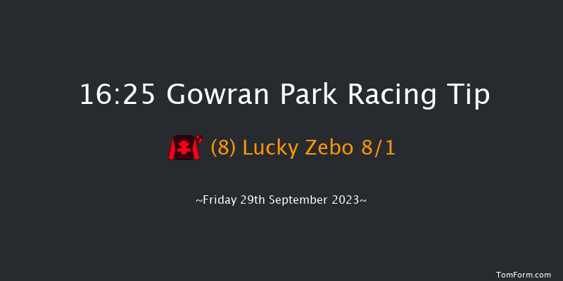 Gowran Park 16:25 Handicap Hurdle 20f Wed 6th Sep 2023