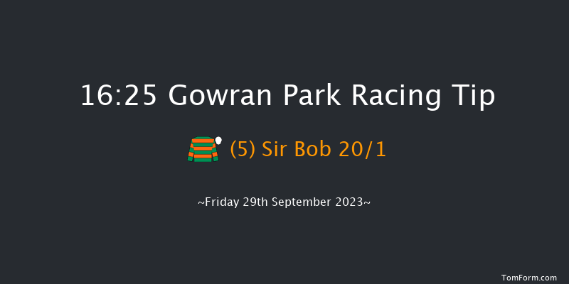 Gowran Park 16:25 Handicap Hurdle 20f Wed 6th Sep 2023