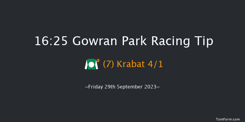 Gowran Park 16:25 Handicap Hurdle 20f Wed 6th Sep 2023
