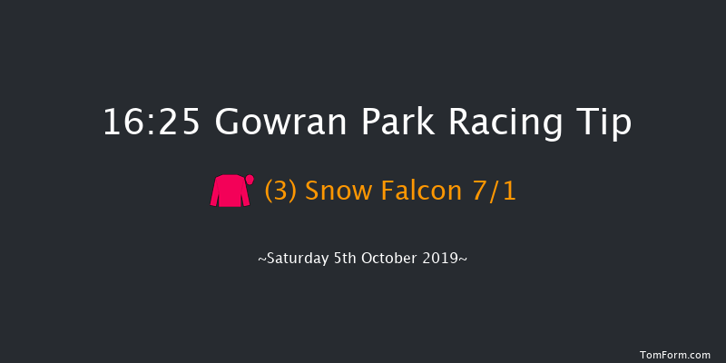 Gowran Park 16:25 Conditions Chase 20f Fri 4th Oct 2019