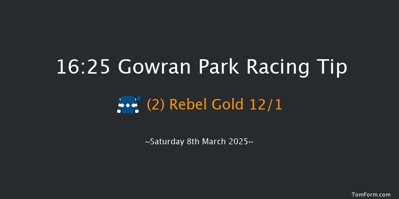 Gowran Park  16:25 Handicap Chase 16f Sat 15th Feb 2025