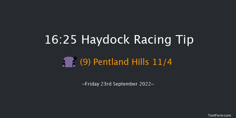 Haydock 16:25 Handicap (Class 5) 14f Sat 3rd Sep 2022
