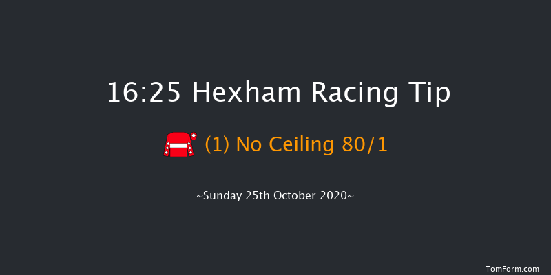 Linnels Handicap Chase Hexham 16:25 Handicap Chase (Class 5) 20f Sat 10th Oct 2020