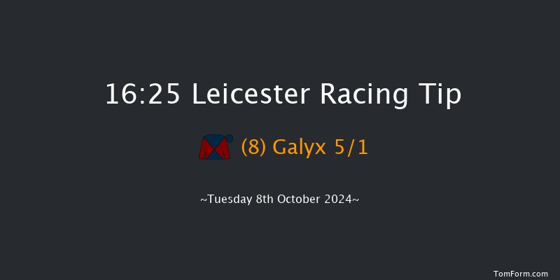 Leicester  16:25 Handicap (Class 3) 10f Tue 10th Sep 2024