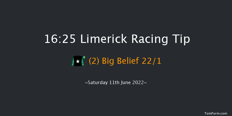 Limerick 16:25 Handicap 8f Fri 27th May 2022