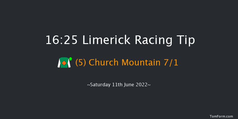 Limerick 16:25 Handicap 8f Fri 27th May 2022