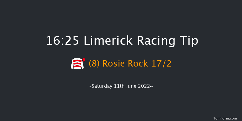 Limerick 16:25 Handicap 8f Fri 27th May 2022