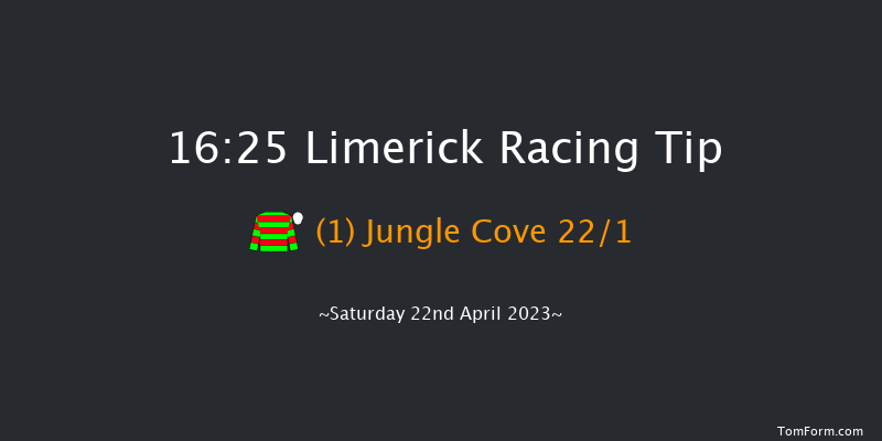 Limerick 16:25 Handicap 8f Thu 30th Mar 2023