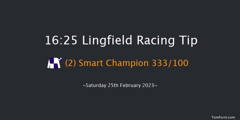 Lingfield 16:25 Handicap (Class 4) 16f Fri 24th Feb 2023