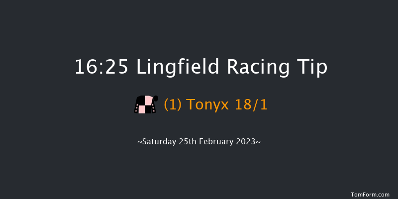 Lingfield 16:25 Handicap (Class 4) 16f Fri 24th Feb 2023