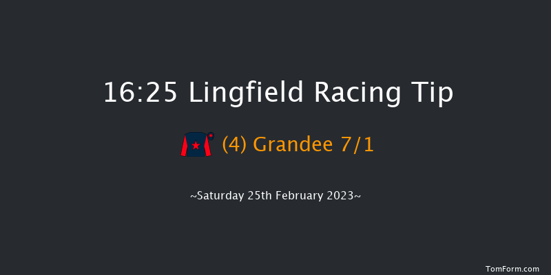 Lingfield 16:25 Handicap (Class 4) 16f Fri 24th Feb 2023