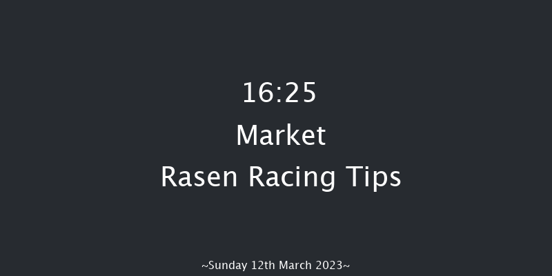 Market Rasen 16:25 Handicap Chase (Class 5) 21f Tue 21st Feb 2023