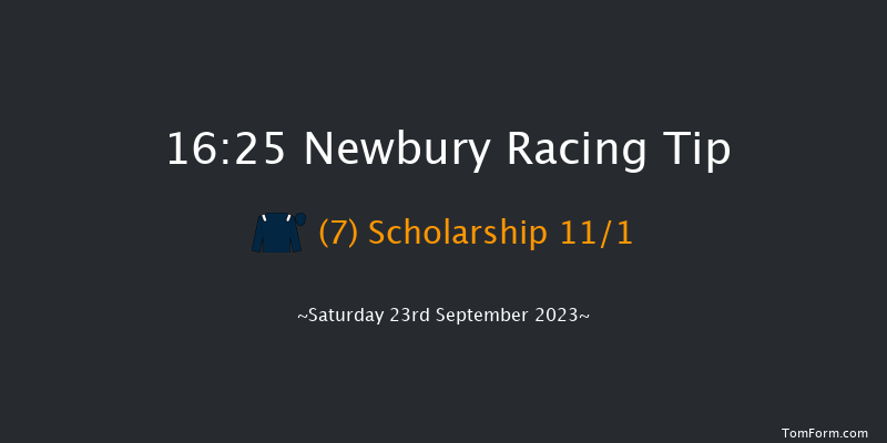 Newbury 16:25 Handicap (Class 3) 7f Fri 22nd Sep 2023