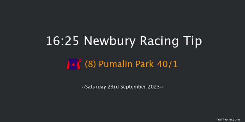 Newbury 16:25 Handicap (Class 3) 7f Fri 22nd Sep 2023