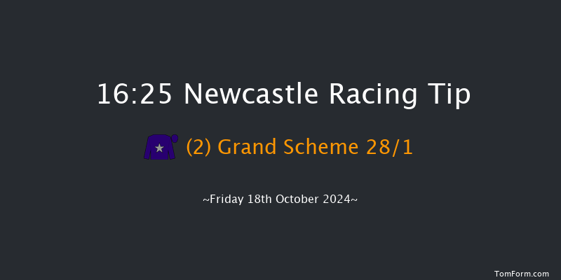 Newcastle  16:25 Handicap (Class 6) 16f Tue 15th Oct 2024