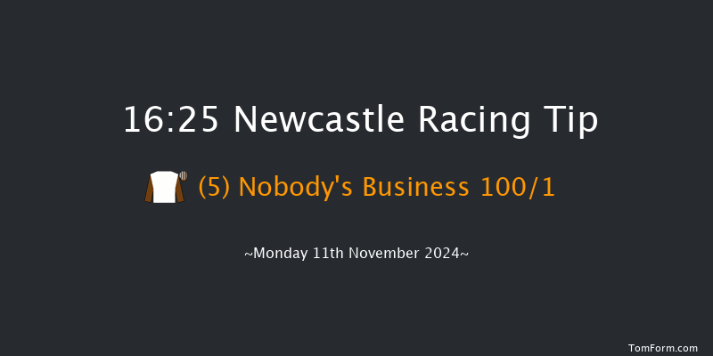 Newcastle  16:25 Stakes (Class 5) 5f  Fri 8th Nov 2024