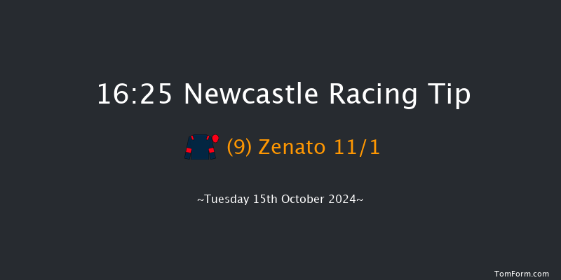 Newcastle  16:25 Handicap (Class 6) 12f Fri 4th Oct 2024