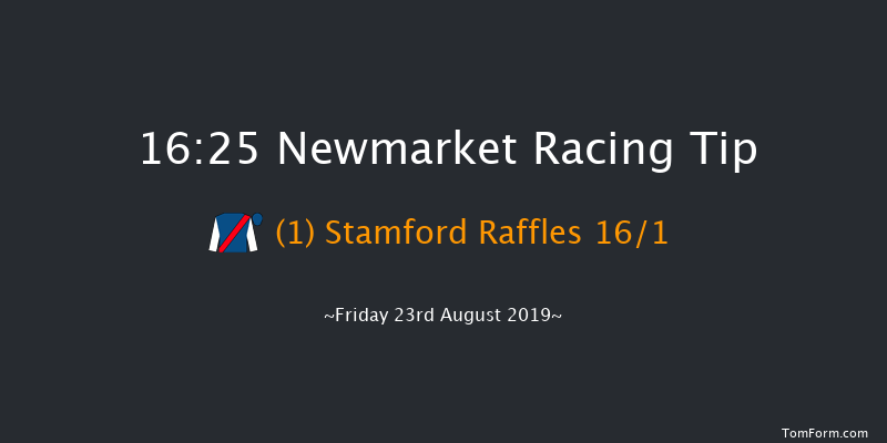 Newmarket 16:25 Handicap (Class 4) 12f Sat 17th Aug 2019
