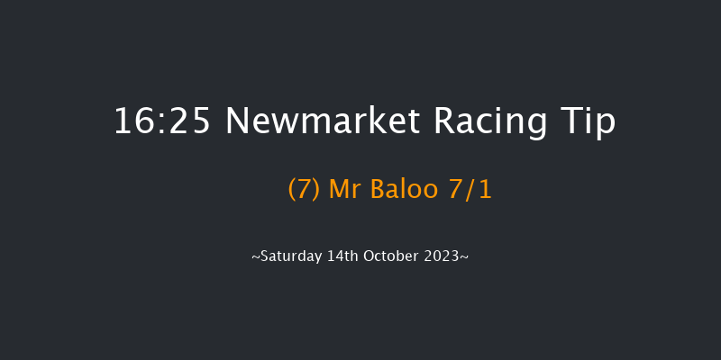 Newmarket 16:25 Handicap (Class 3) 7f Fri 13th Oct 2023