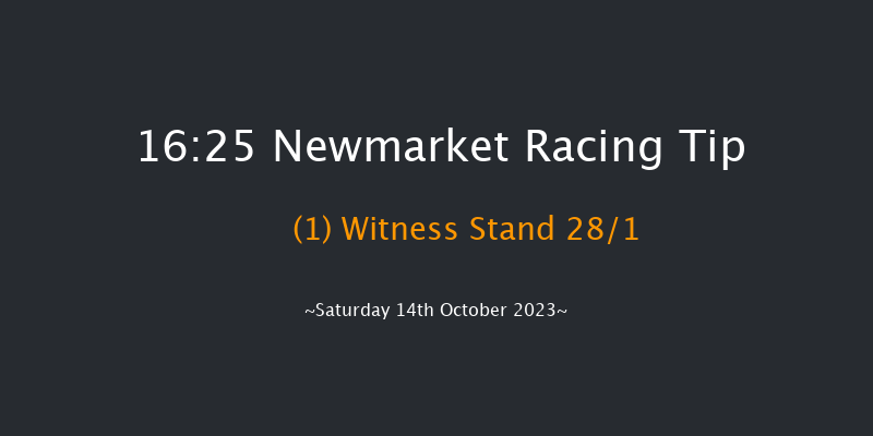 Newmarket 16:25 Handicap (Class 3) 7f Fri 13th Oct 2023