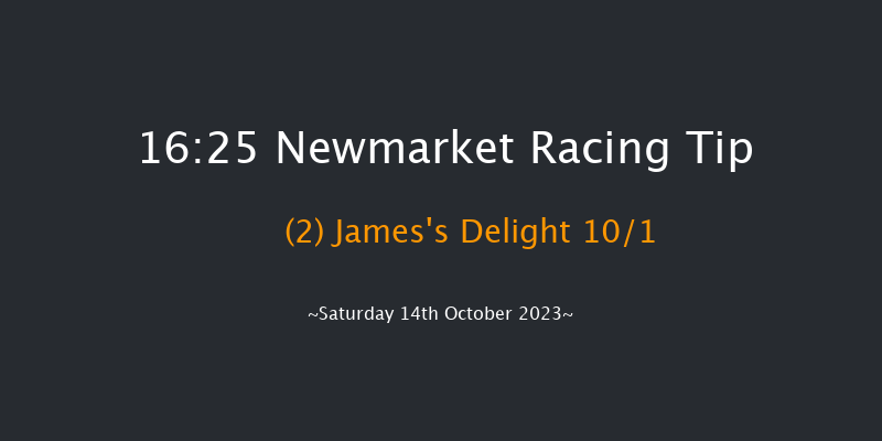 Newmarket 16:25 Handicap (Class 3) 7f Fri 13th Oct 2023