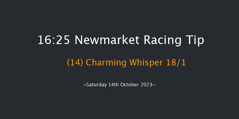 Newmarket 16:25 Handicap (Class 3) 7f Fri 13th Oct 2023