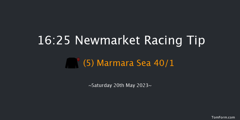 Newmarket 16:25 Stakes (Class 2) 12f Fri 19th May 2023