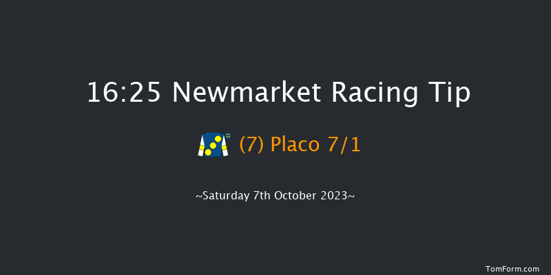 Newmarket 16:25 Maiden (Class 4) 7f Sat 30th Sep 2023