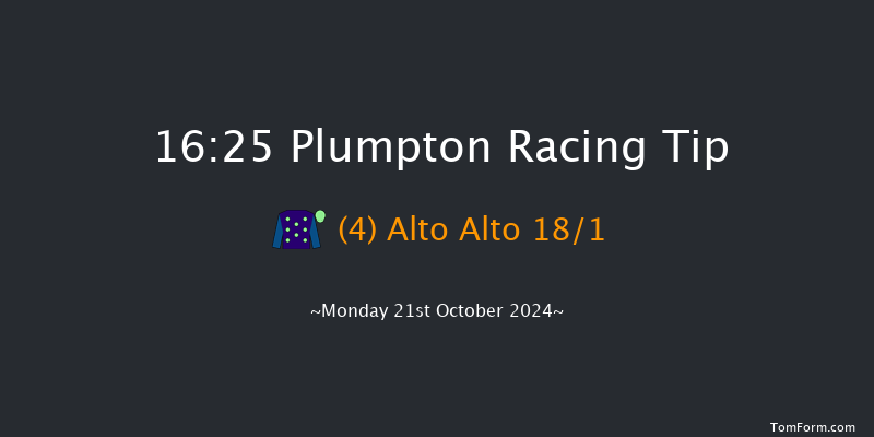 Plumpton  16:25 Handicap Hurdle (Class 4) 16f Sun 22nd Sep 2024