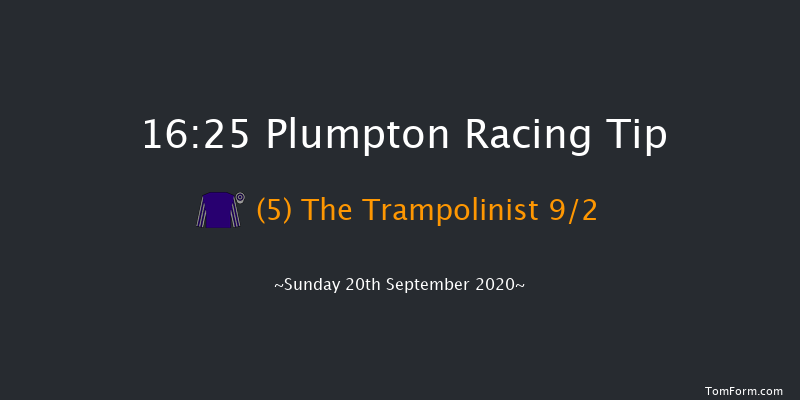 Plumpton Standard Open NH Flat Race (GBB Race) Plumpton 16:25 NH Flat Race (Class 5) 18f Mon 9th Mar 2020