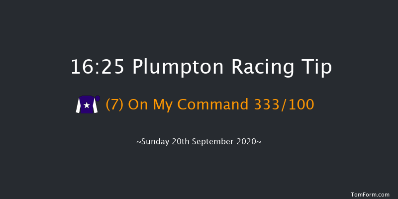 Plumpton Standard Open NH Flat Race (GBB Race) Plumpton 16:25 NH Flat Race (Class 5) 18f Mon 9th Mar 2020
