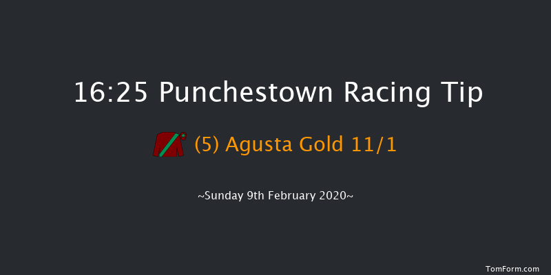 Boylesports Grand National Trial Handicap Chase (grade B) Punchestown 16:25 Handicap Chase 28f Wed 15th Jan 2020