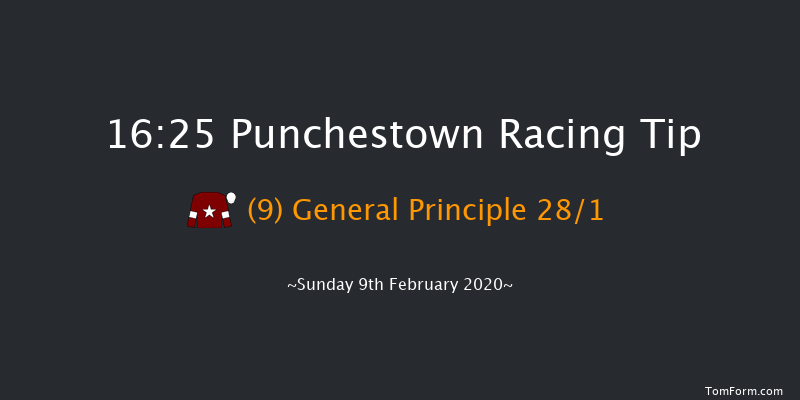 Boylesports Grand National Trial Handicap Chase (grade B) Punchestown 16:25 Handicap Chase 28f Wed 15th Jan 2020