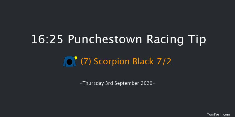 Irish Racing Working Together Handicap (45-65) (Div 1) Punchestown 16:25 Handicap 9f Wed 19th Feb 2020